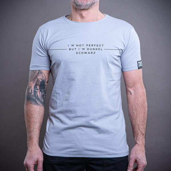 T-Shirt DS-1 NEWPERFECT silver