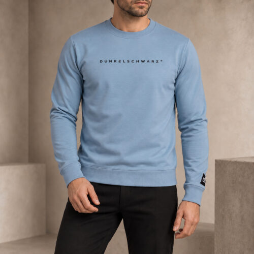 Sweatshirt DS-5 LOGO lightblue