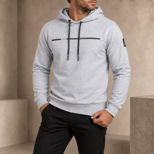 Hoody DS-3 CENT lightgrey/m.