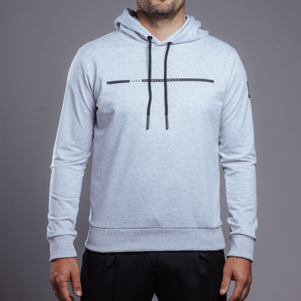 Hoody DS-3 CENT lightgrey/m.