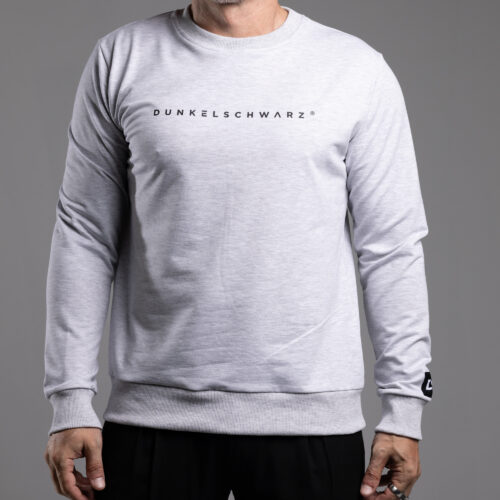 Sweatshirt DS-5 LOGO lightgrey/m.